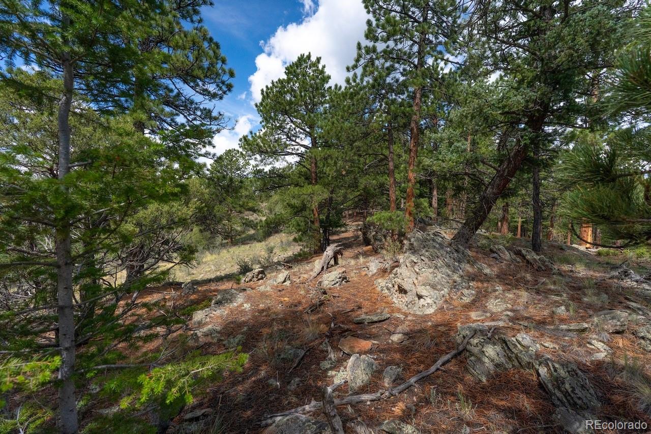 MLS Image #35 for 150  summit drive,bailey, Colorado