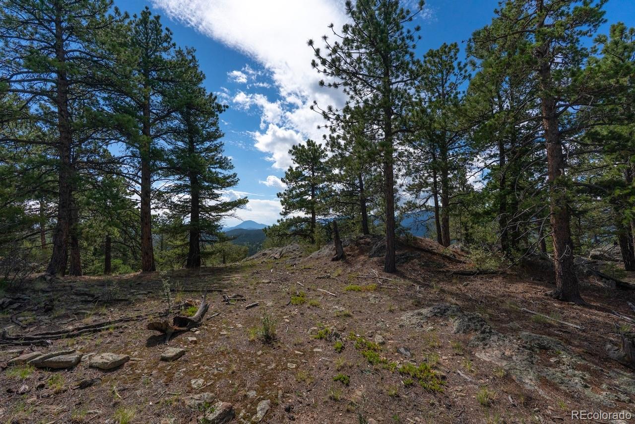 MLS Image #36 for 150  summit drive,bailey, Colorado