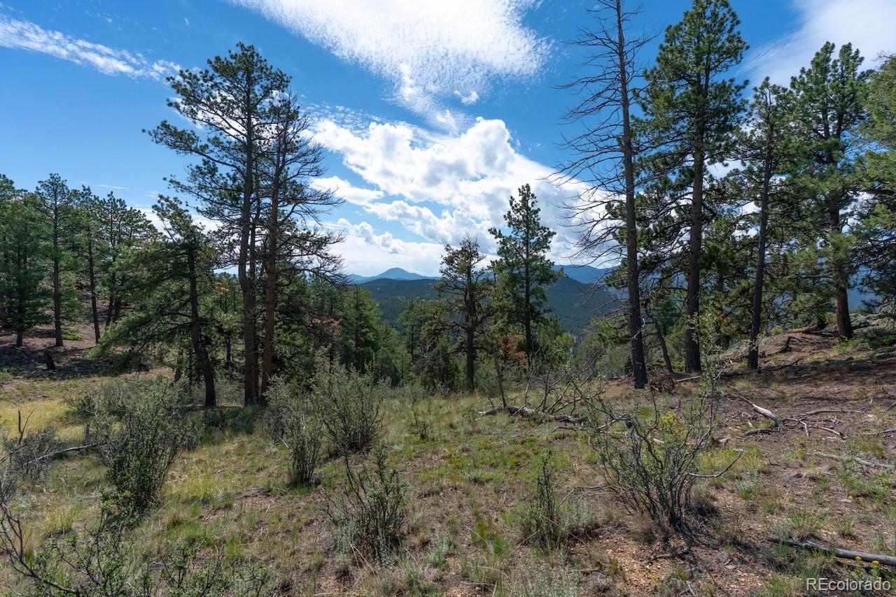 MLS Image #37 for 150  summit drive,bailey, Colorado
