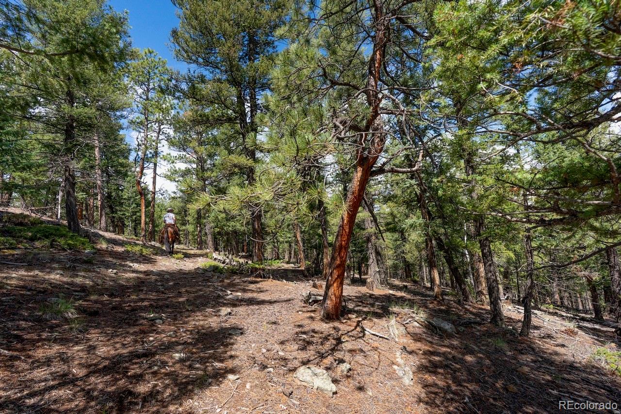 MLS Image #38 for 150  summit drive,bailey, Colorado