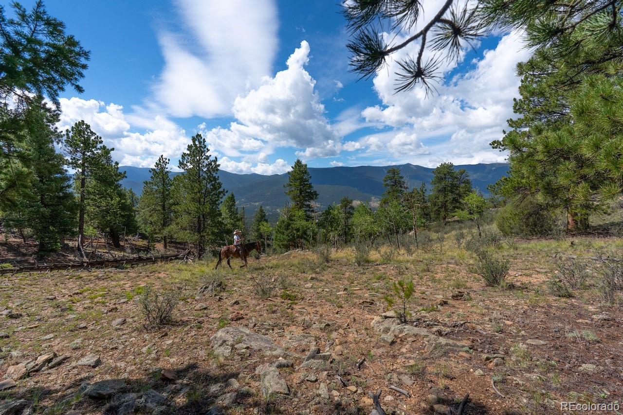 MLS Image #39 for 150  summit drive,bailey, Colorado