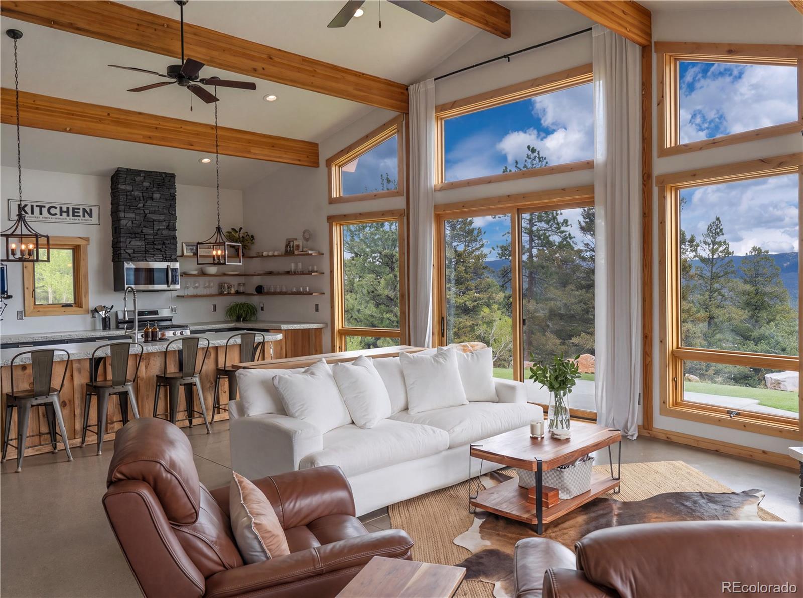 MLS Image #4 for 150  summit drive,bailey, Colorado