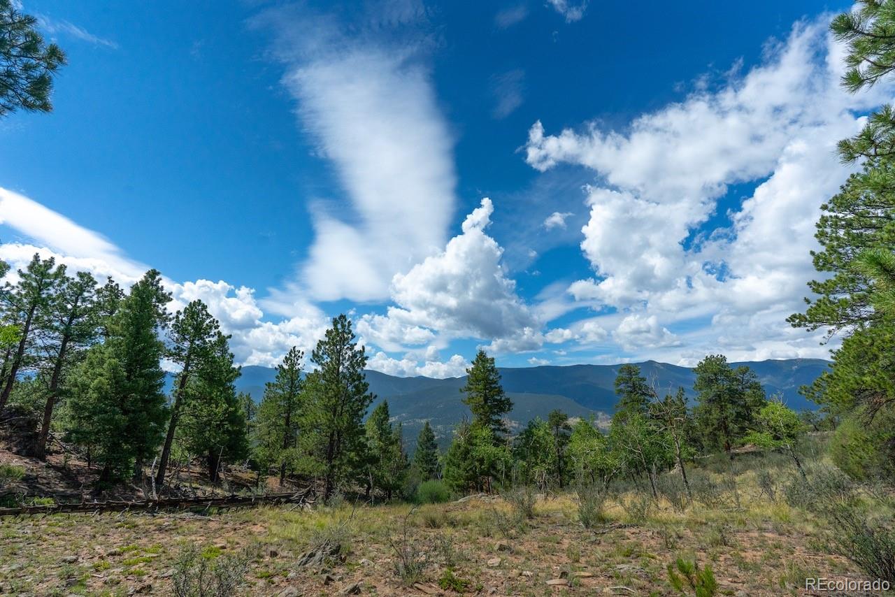 MLS Image #40 for 150  summit drive,bailey, Colorado