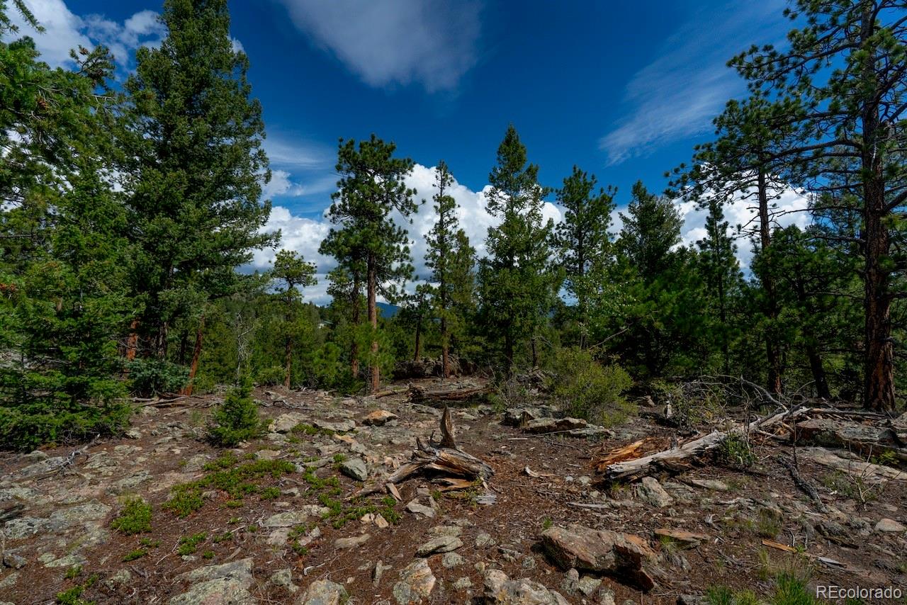MLS Image #41 for 150  summit drive,bailey, Colorado