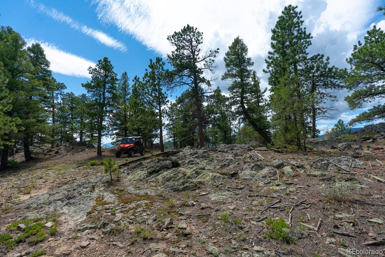 MLS Image #42 for 150  summit drive,bailey, Colorado