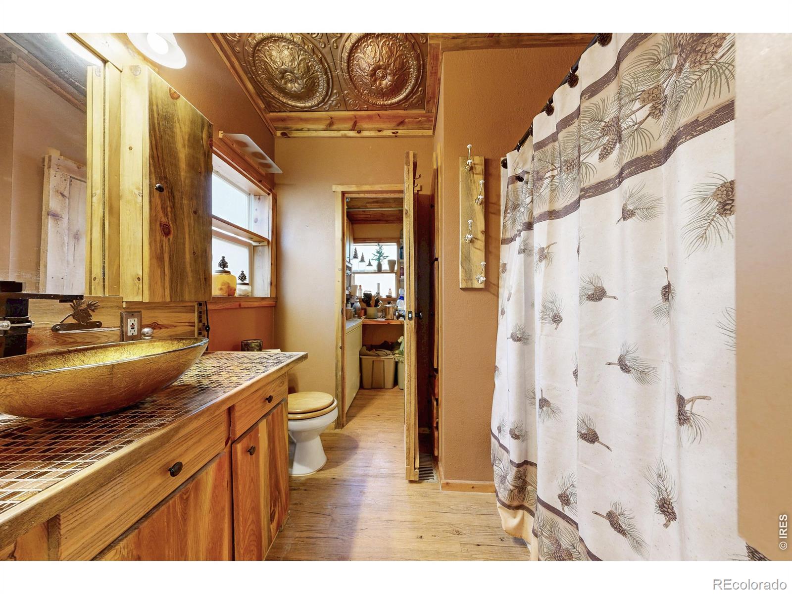 MLS Image #14 for 178  humboldt drive,livermore, Colorado