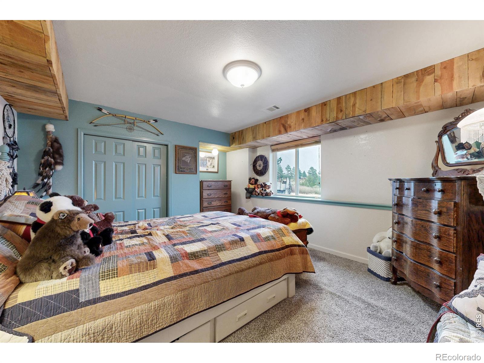 MLS Image #20 for 178  humboldt drive,livermore, Colorado