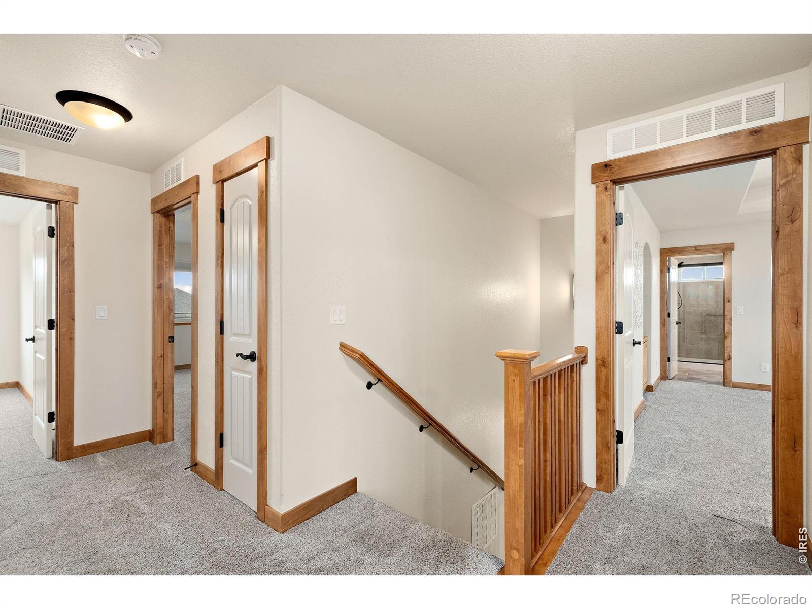 MLS Image #26 for 1050  coral burst drive,loveland, Colorado