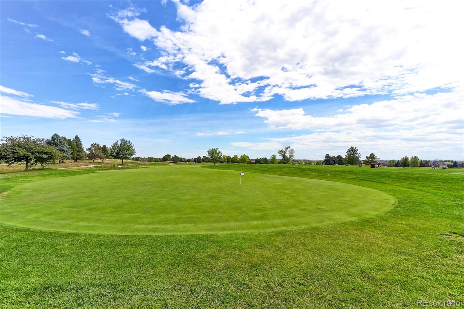 MLS Image #48 for 14043  pinehurst circle,broomfield, Colorado