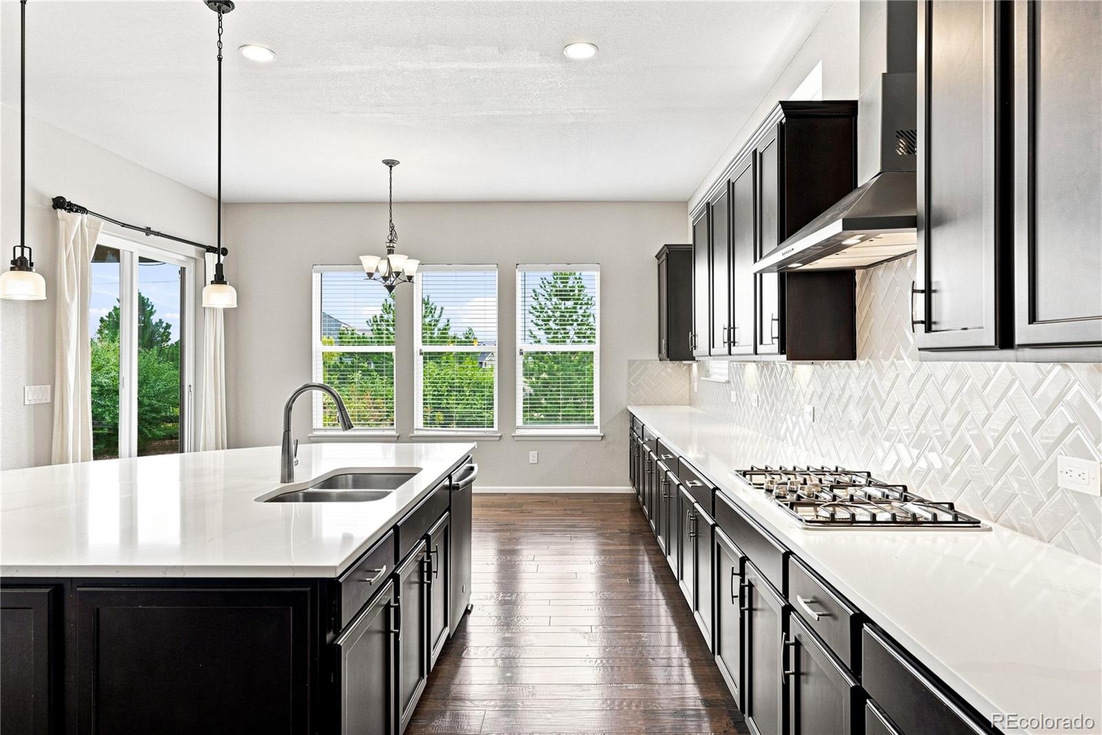 MLS Image #6 for 12971  reata ridge drive,parker, Colorado