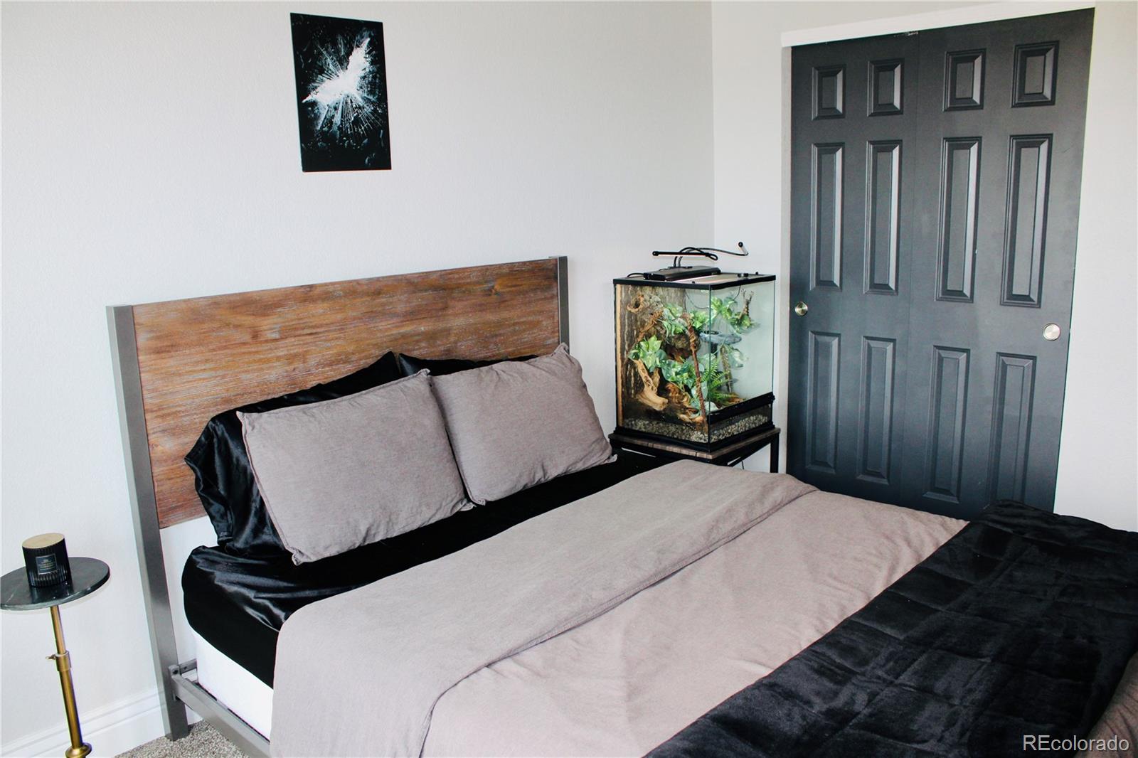 MLS Image #16 for 8739  tranquil knoll lane,colorado springs, Colorado