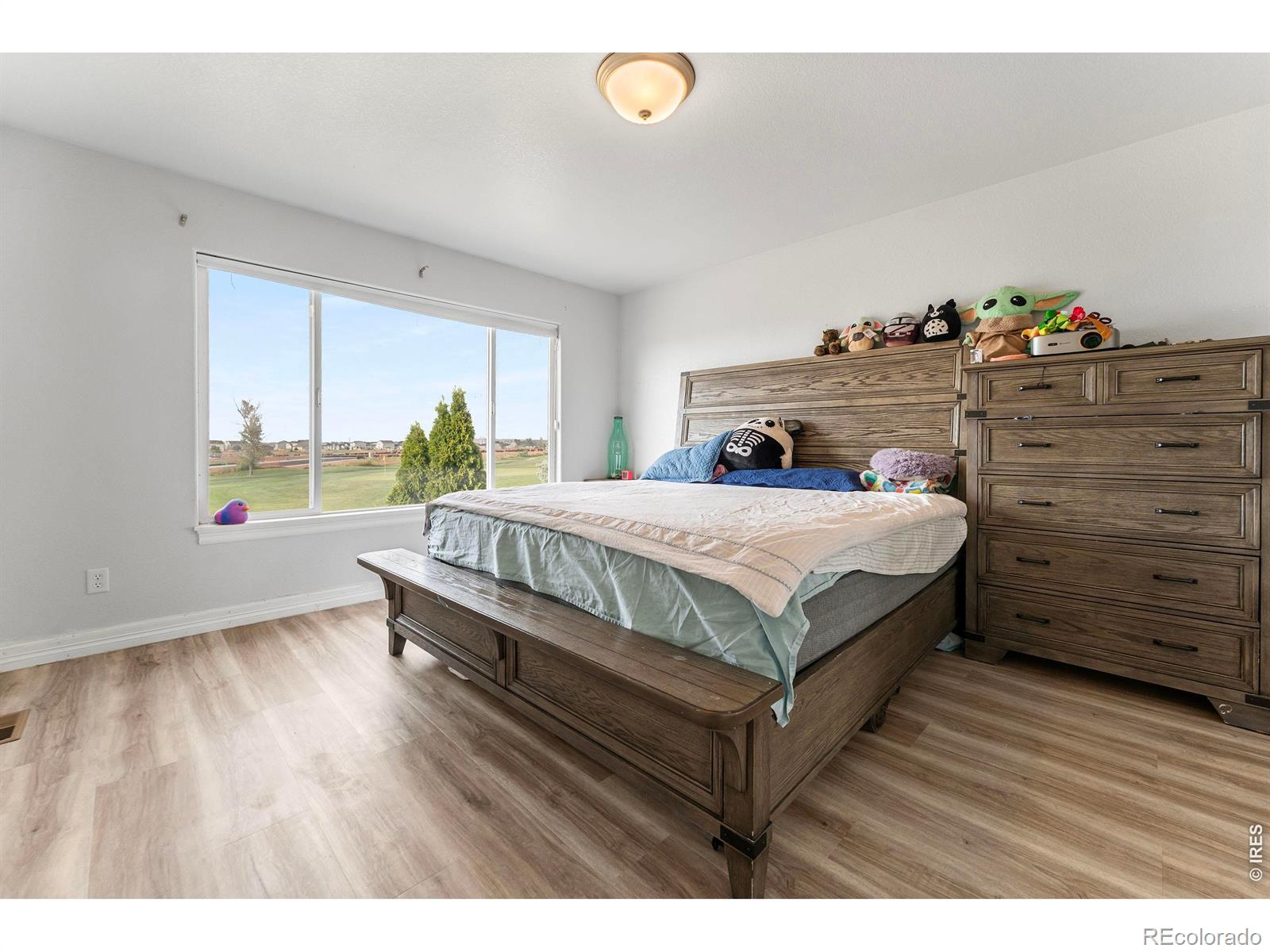 MLS Image #11 for 2183  saddle back court,fort lupton, Colorado
