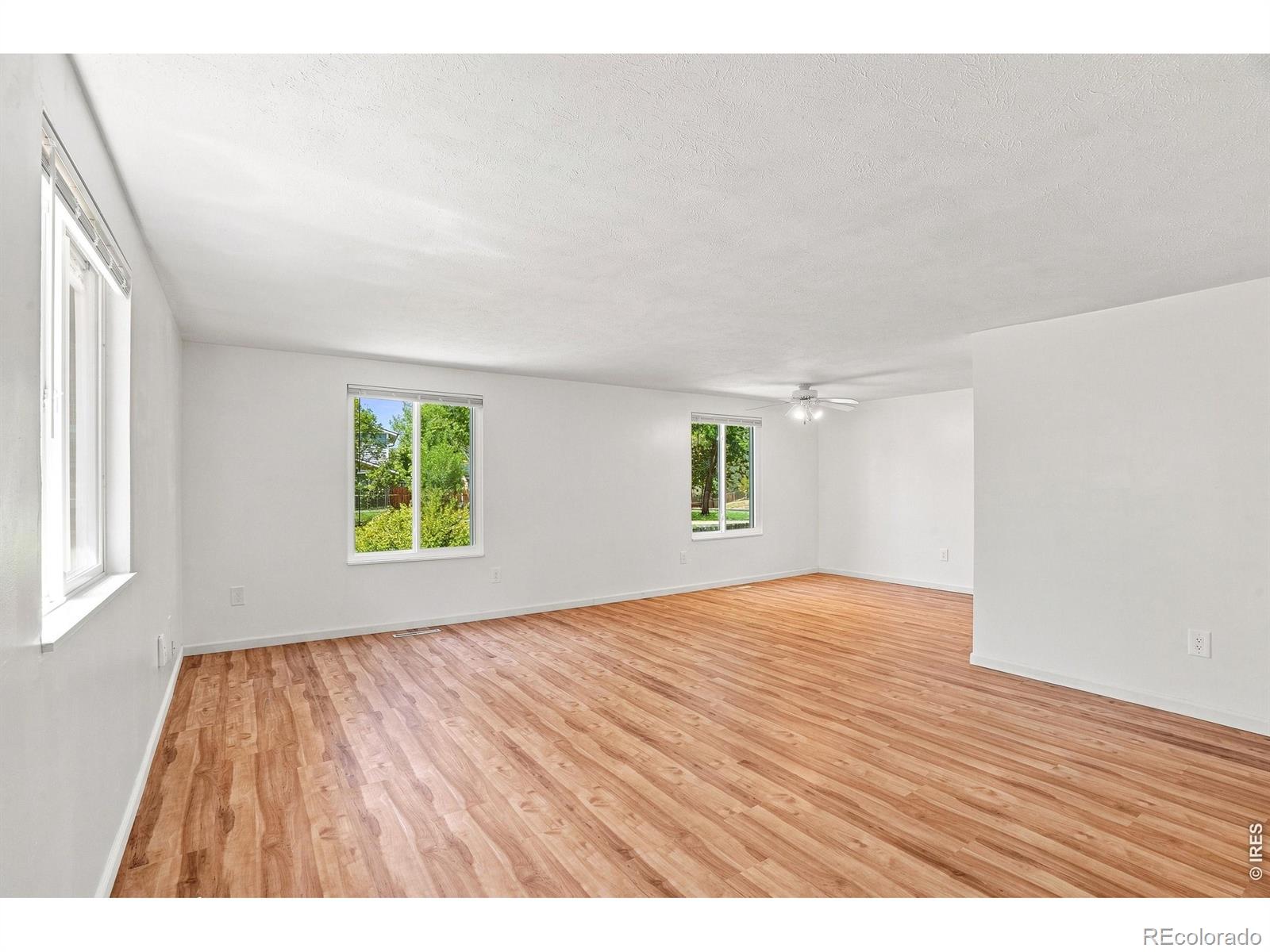 MLS Image #5 for 942  granite court,longmont, Colorado