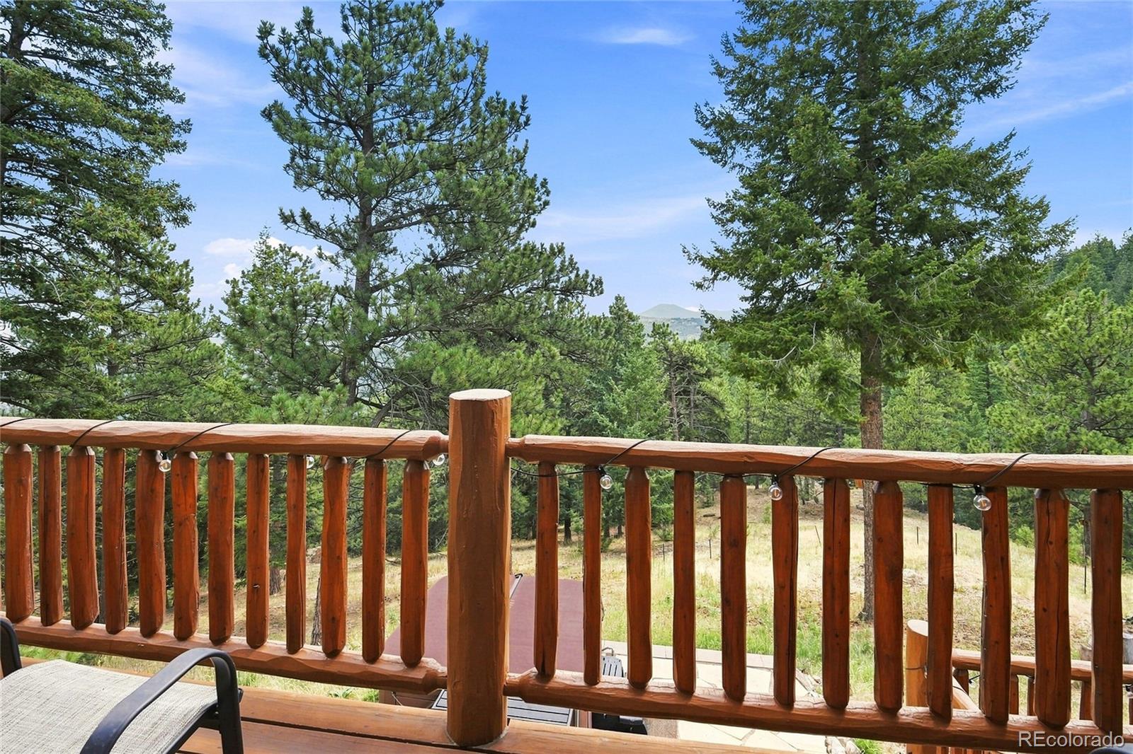 MLS Image #14 for 30937  isenberg lane,evergreen, Colorado