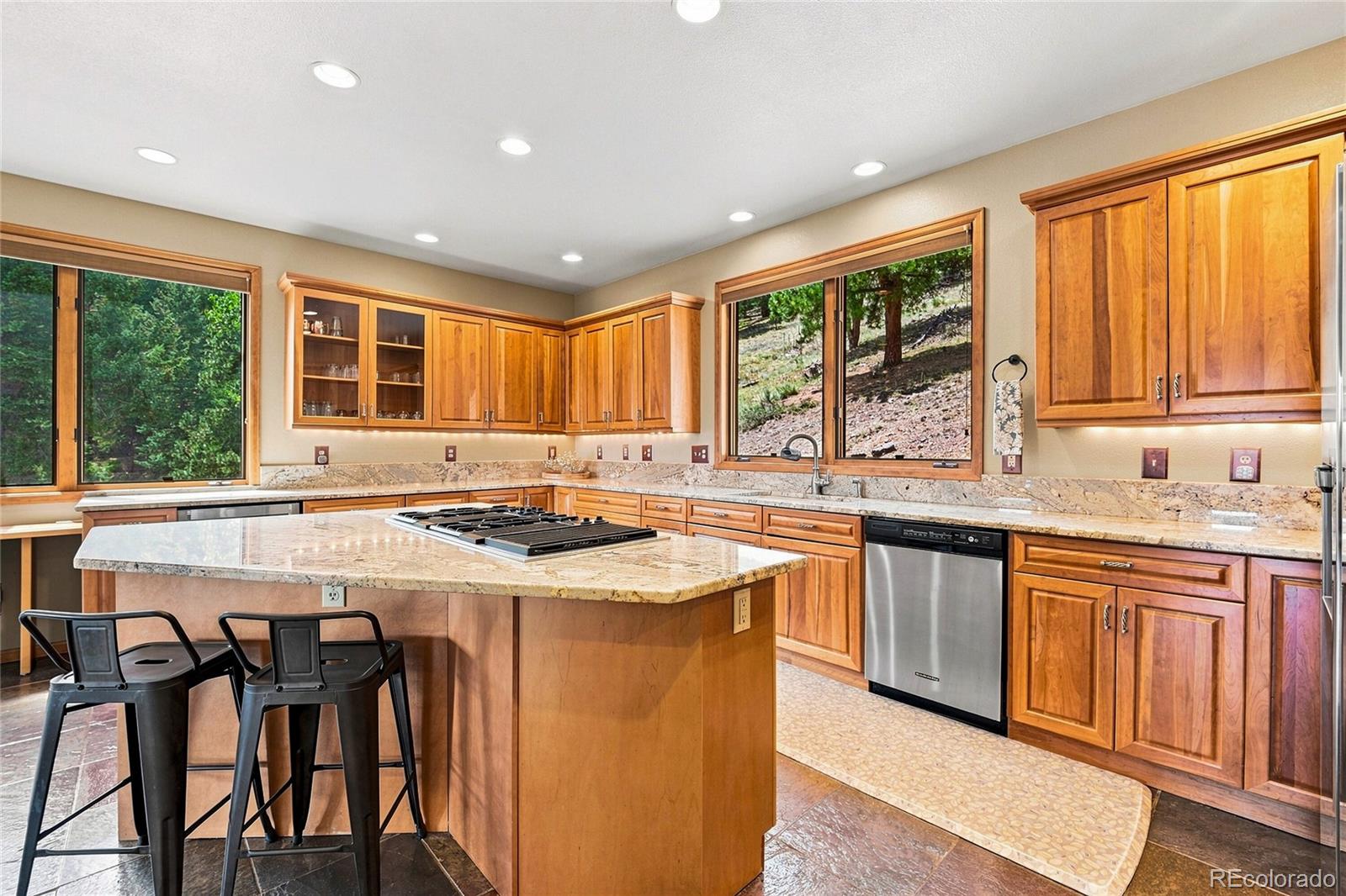 MLS Image #19 for 30937  isenberg lane,evergreen, Colorado