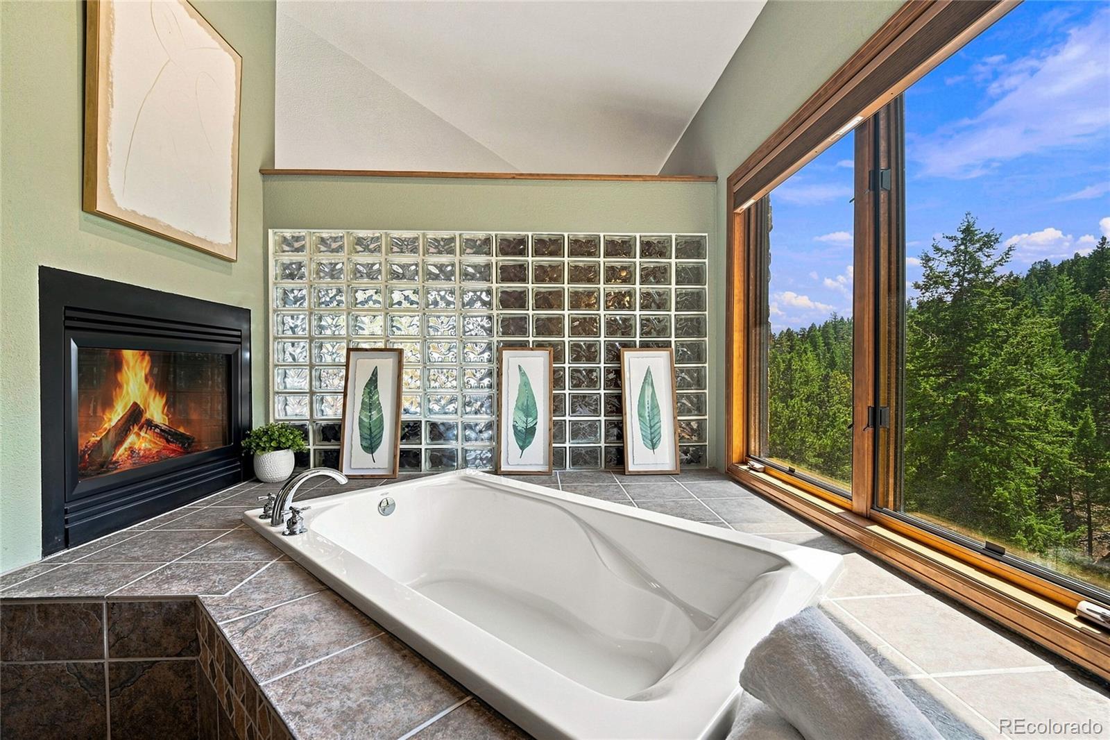 MLS Image #36 for 30937  isenberg lane,evergreen, Colorado