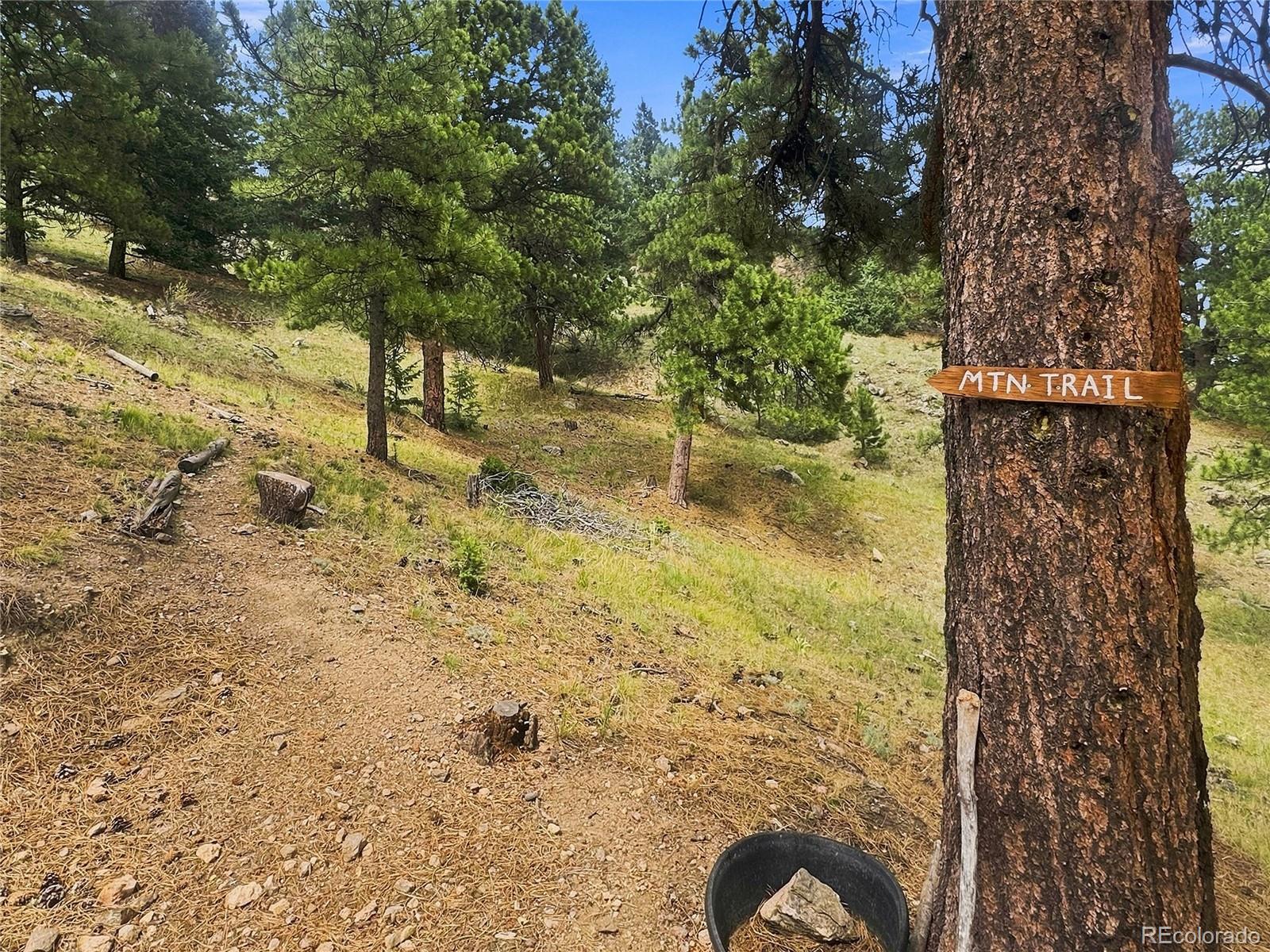 MLS Image #46 for 30937  isenberg lane,evergreen, Colorado