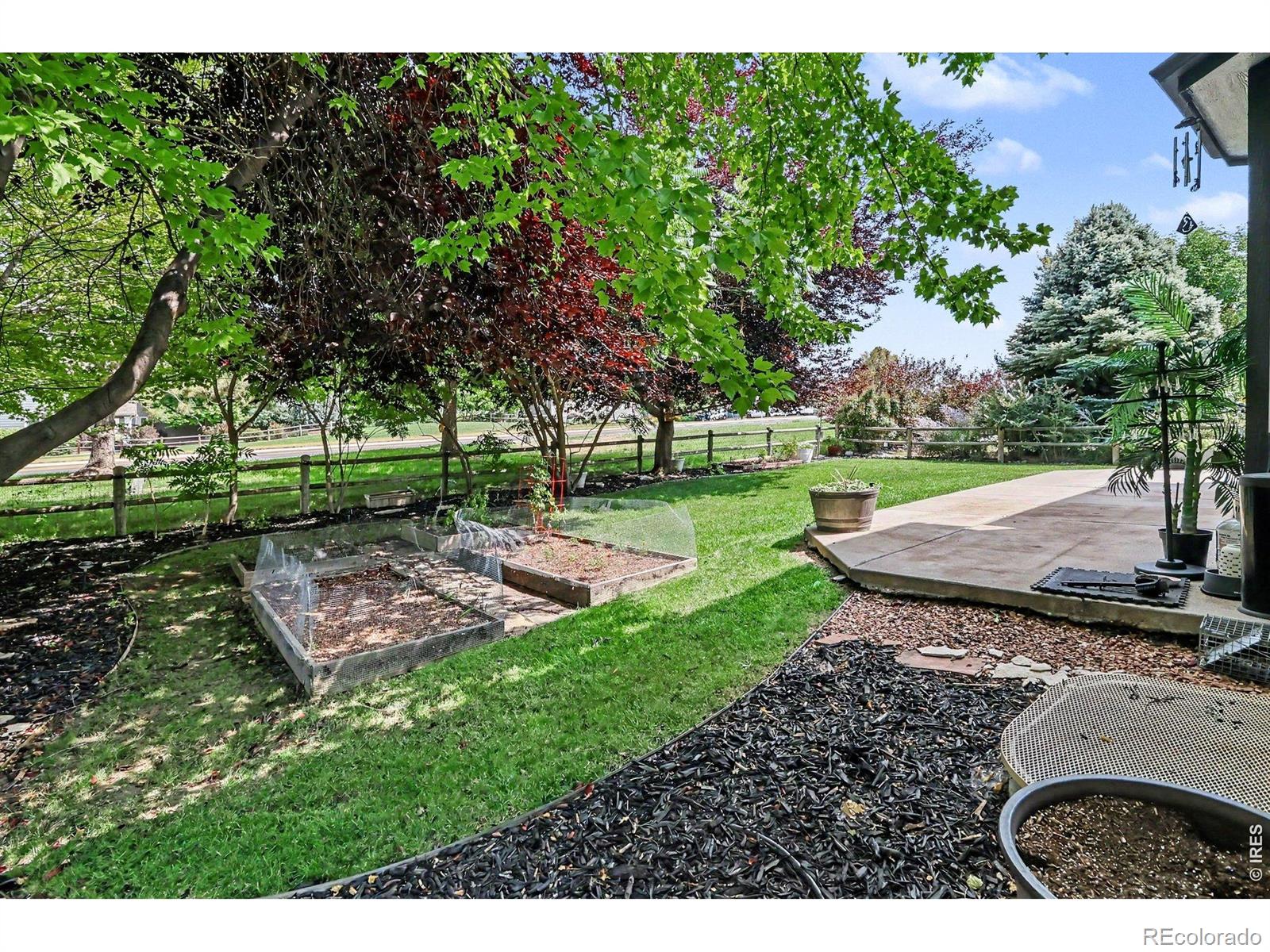 MLS Image #2 for 8106  northstar drive,windsor, Colorado