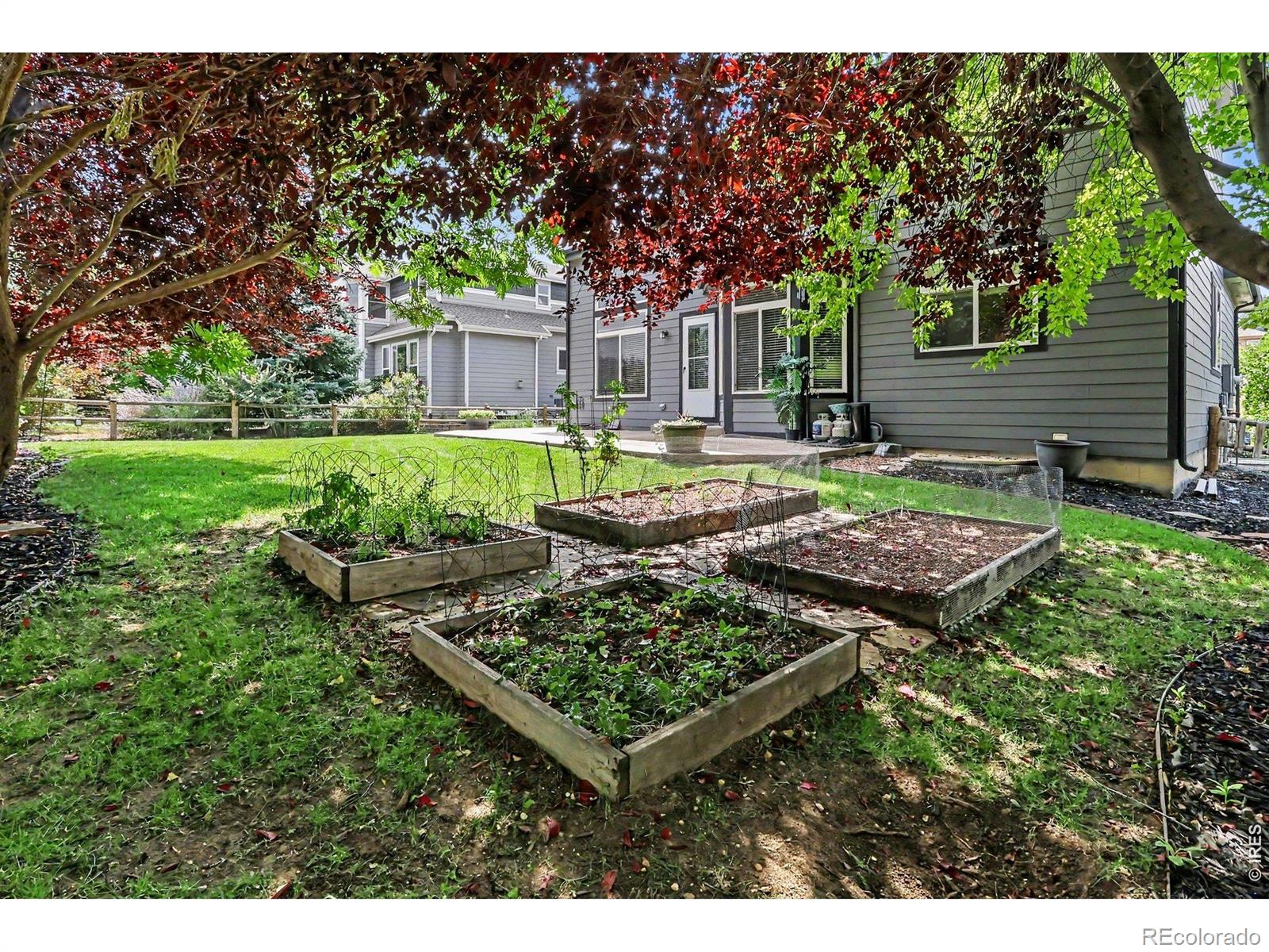 MLS Image #3 for 8106  northstar drive,windsor, Colorado