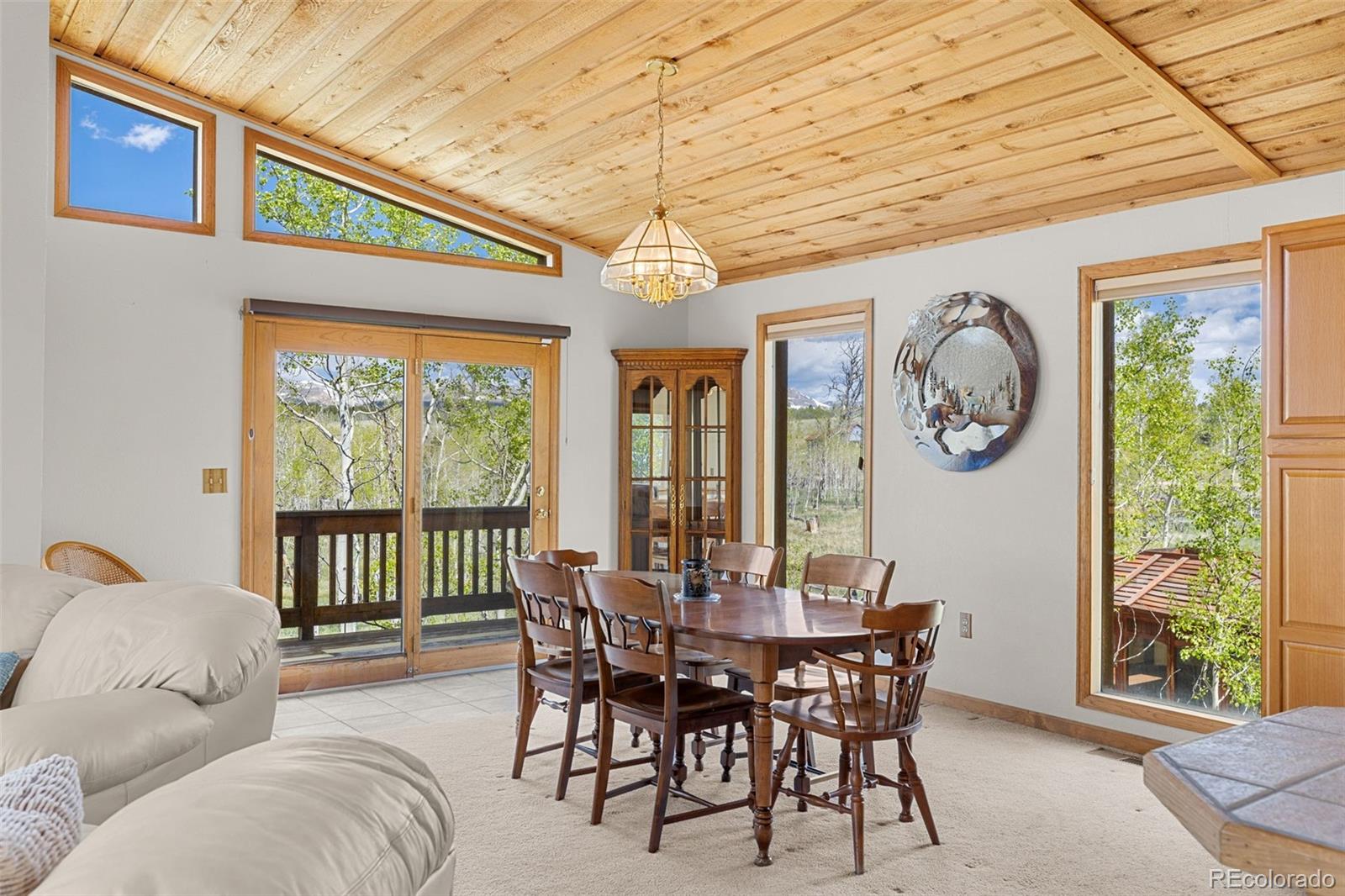 MLS Image #10 for 408  foxtail lane,fairplay, Colorado