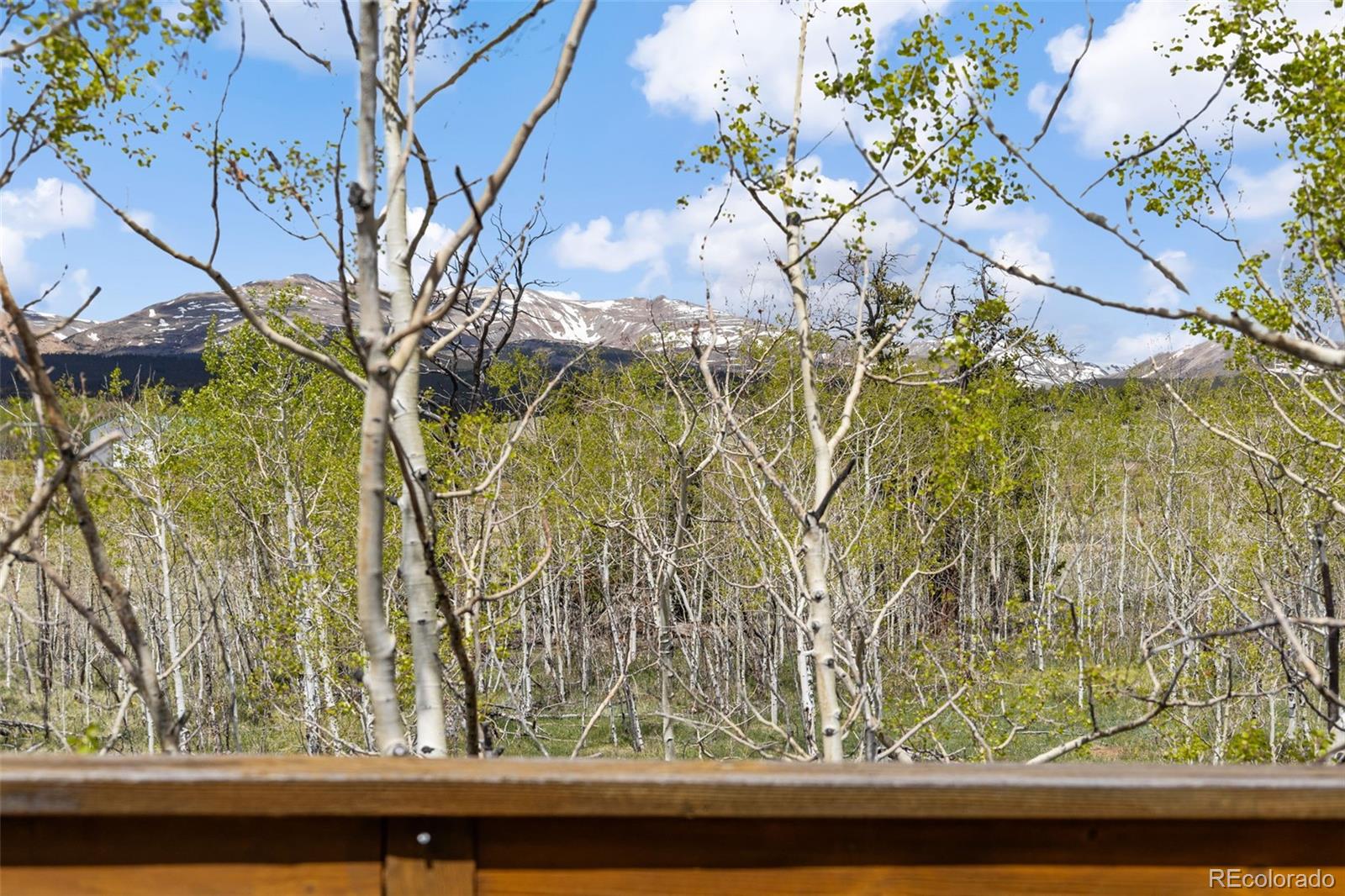 MLS Image #13 for 408  foxtail lane,fairplay, Colorado