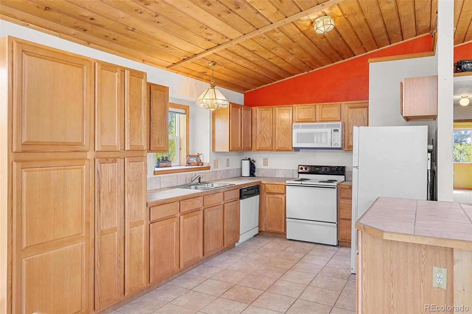 MLS Image #17 for 408  foxtail lane,fairplay, Colorado