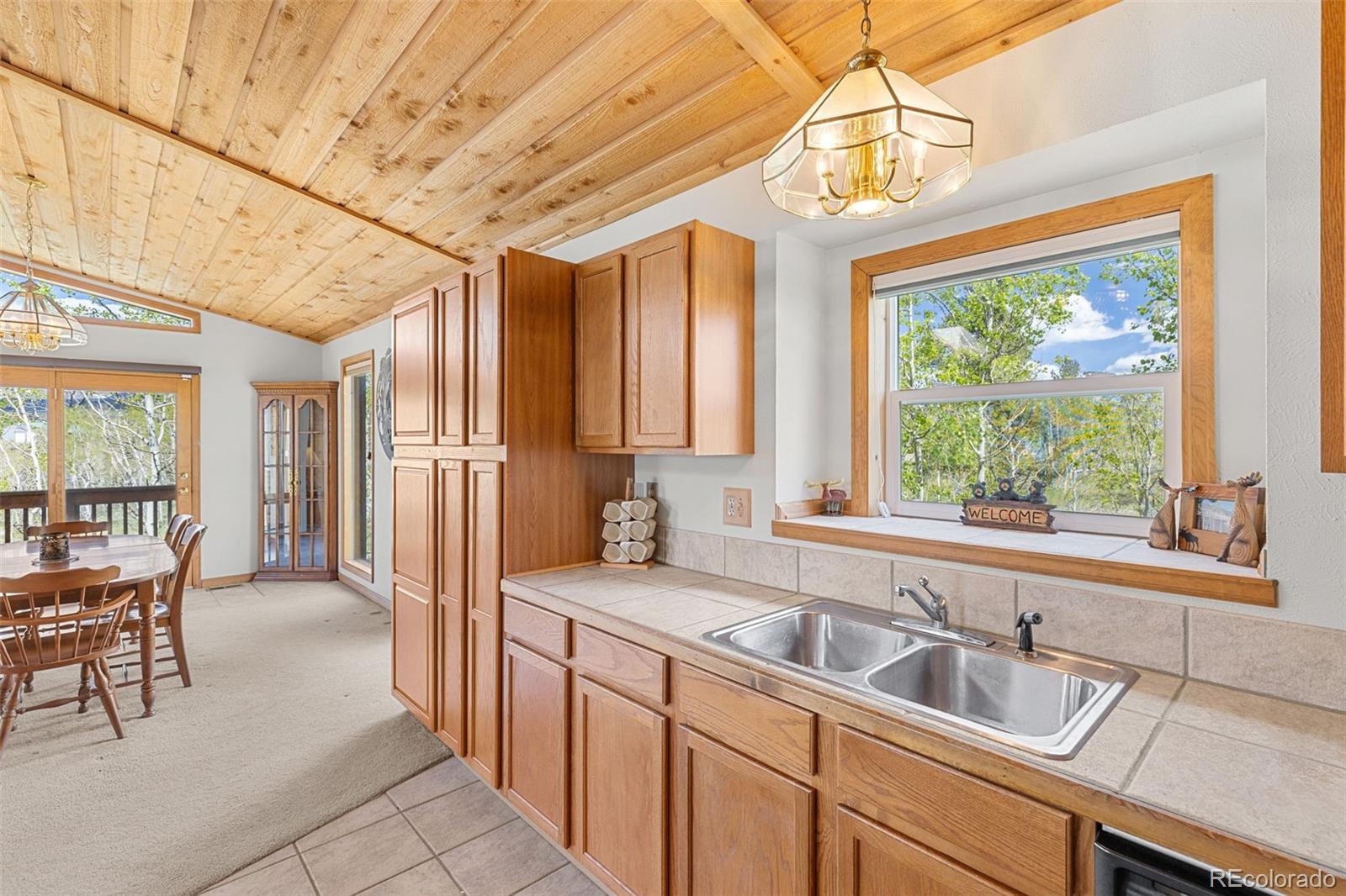MLS Image #18 for 408  foxtail lane,fairplay, Colorado