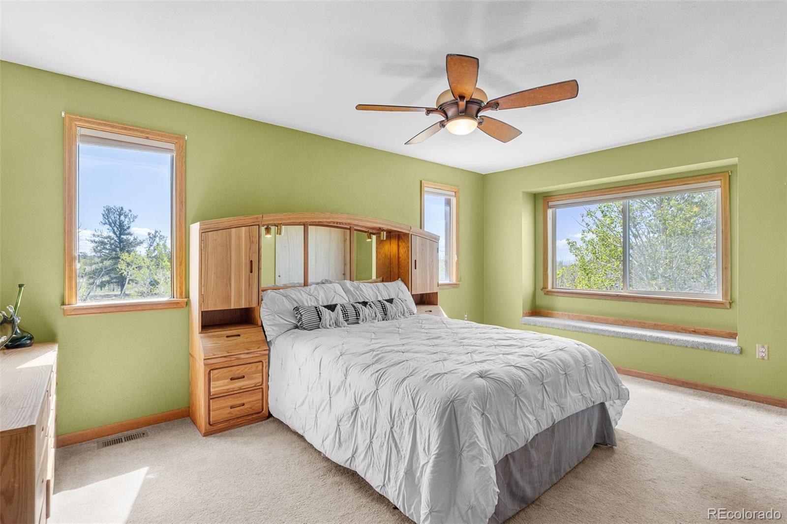 MLS Image #19 for 408  foxtail lane,fairplay, Colorado