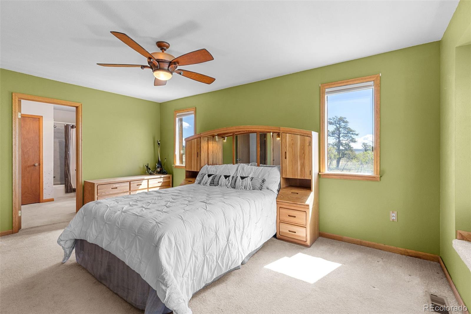 MLS Image #21 for 408  foxtail lane,fairplay, Colorado