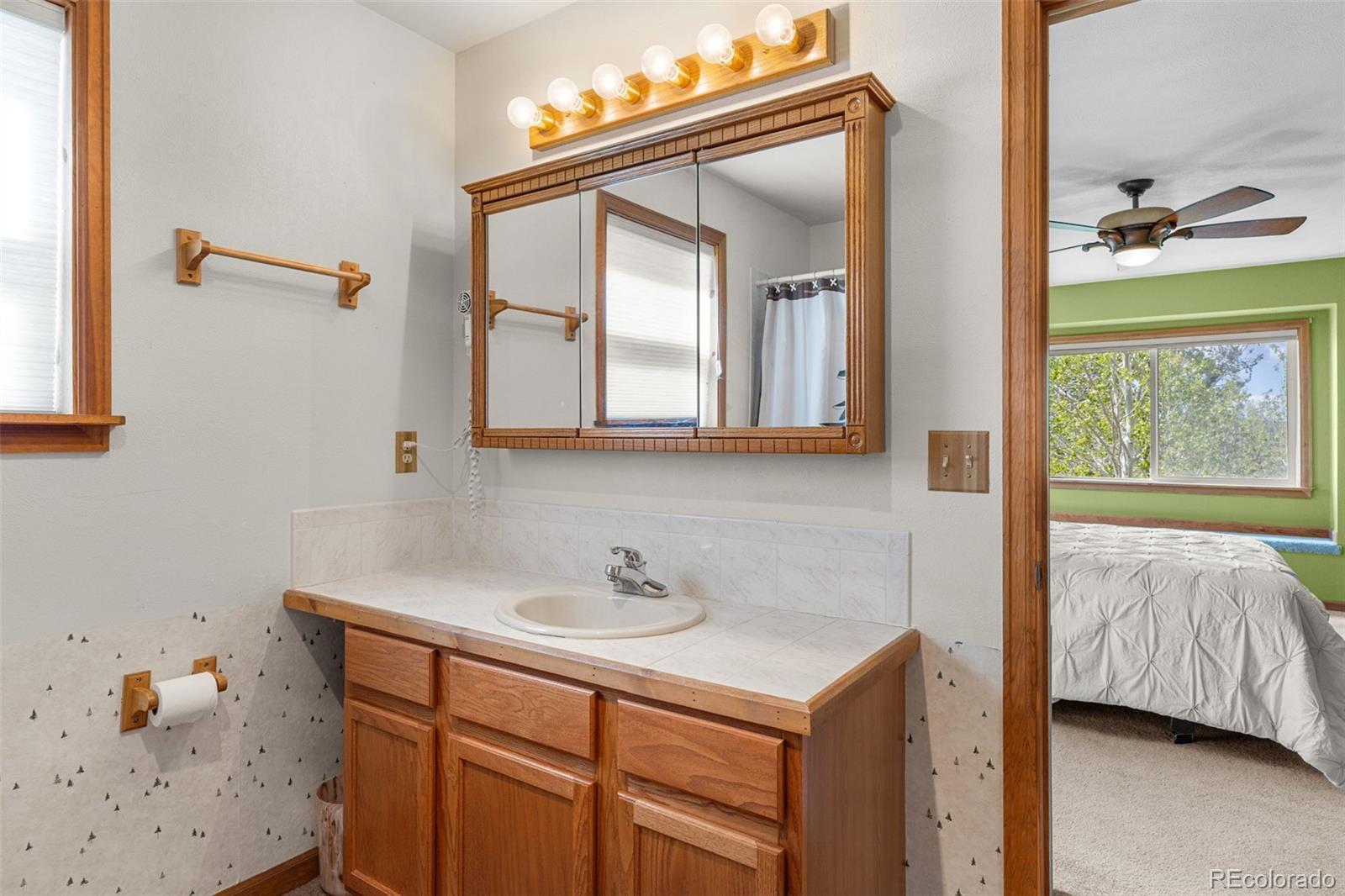 MLS Image #22 for 408  foxtail lane,fairplay, Colorado