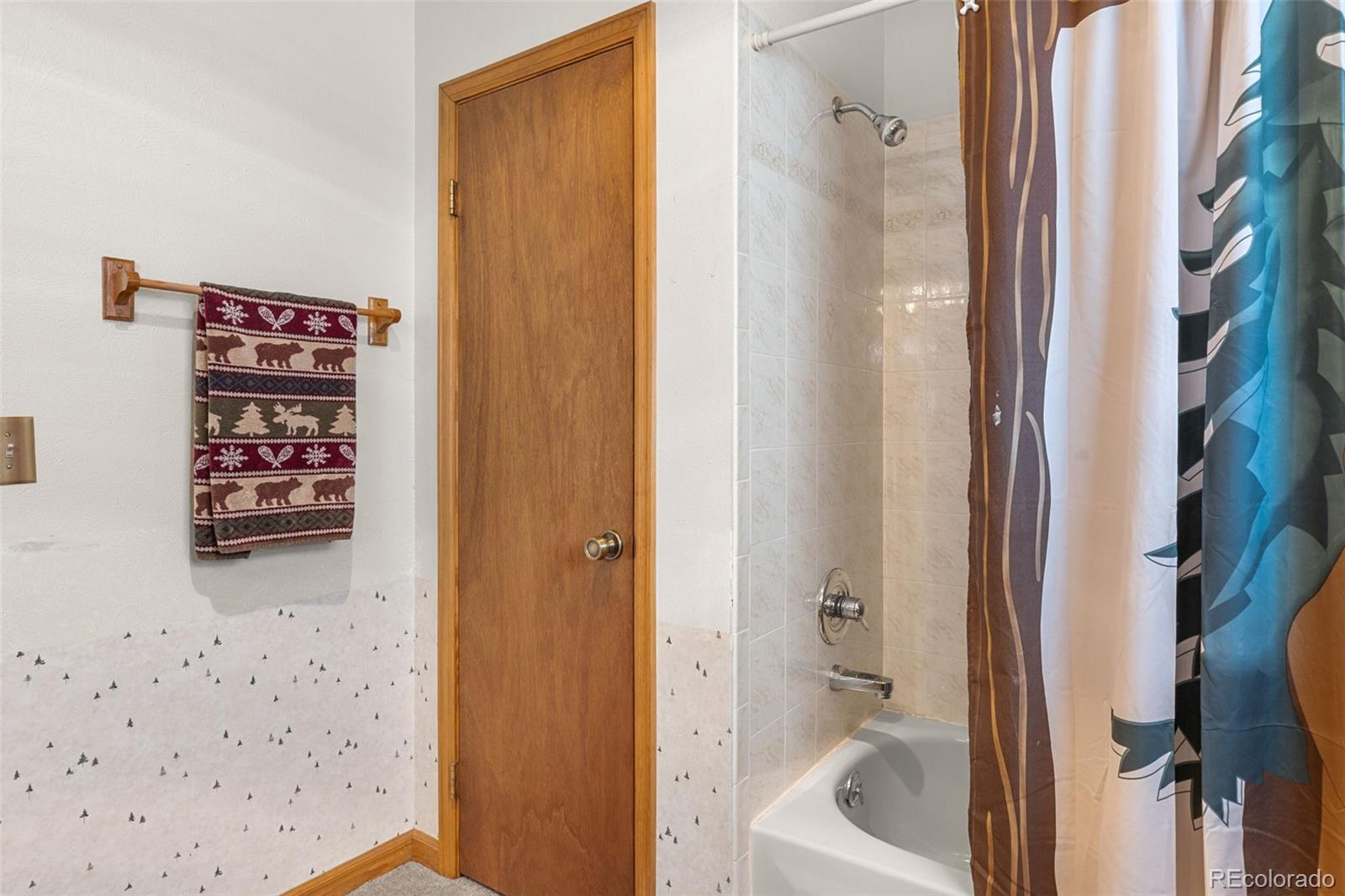 MLS Image #23 for 408  foxtail lane,fairplay, Colorado