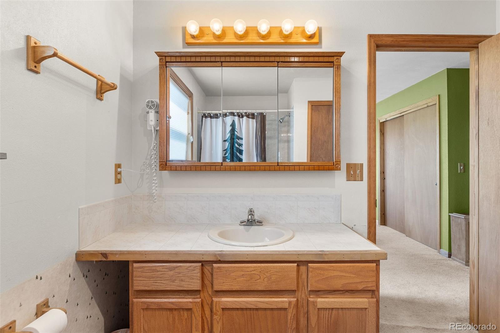 MLS Image #24 for 408  foxtail lane,fairplay, Colorado