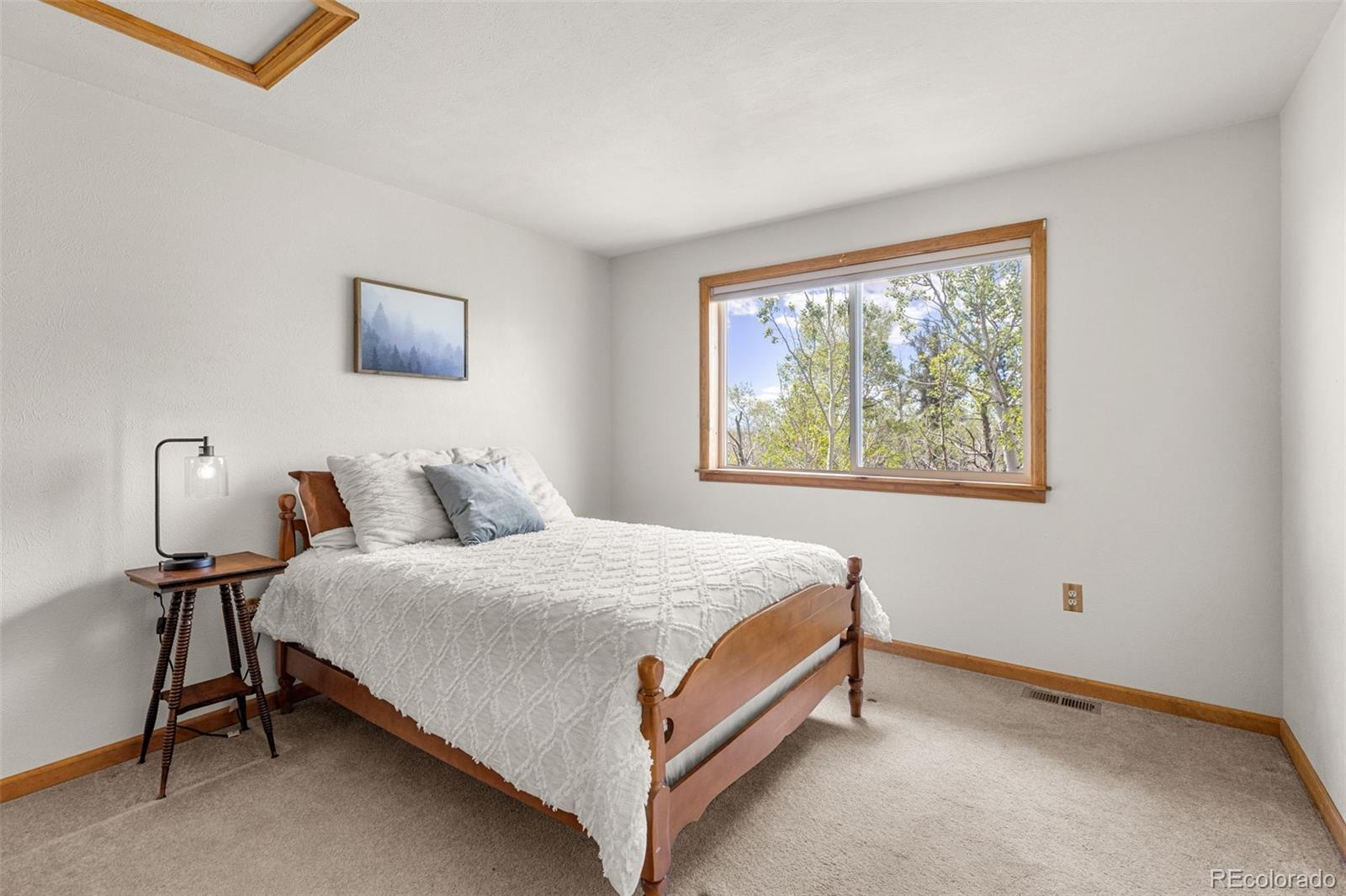 MLS Image #25 for 408  foxtail lane,fairplay, Colorado