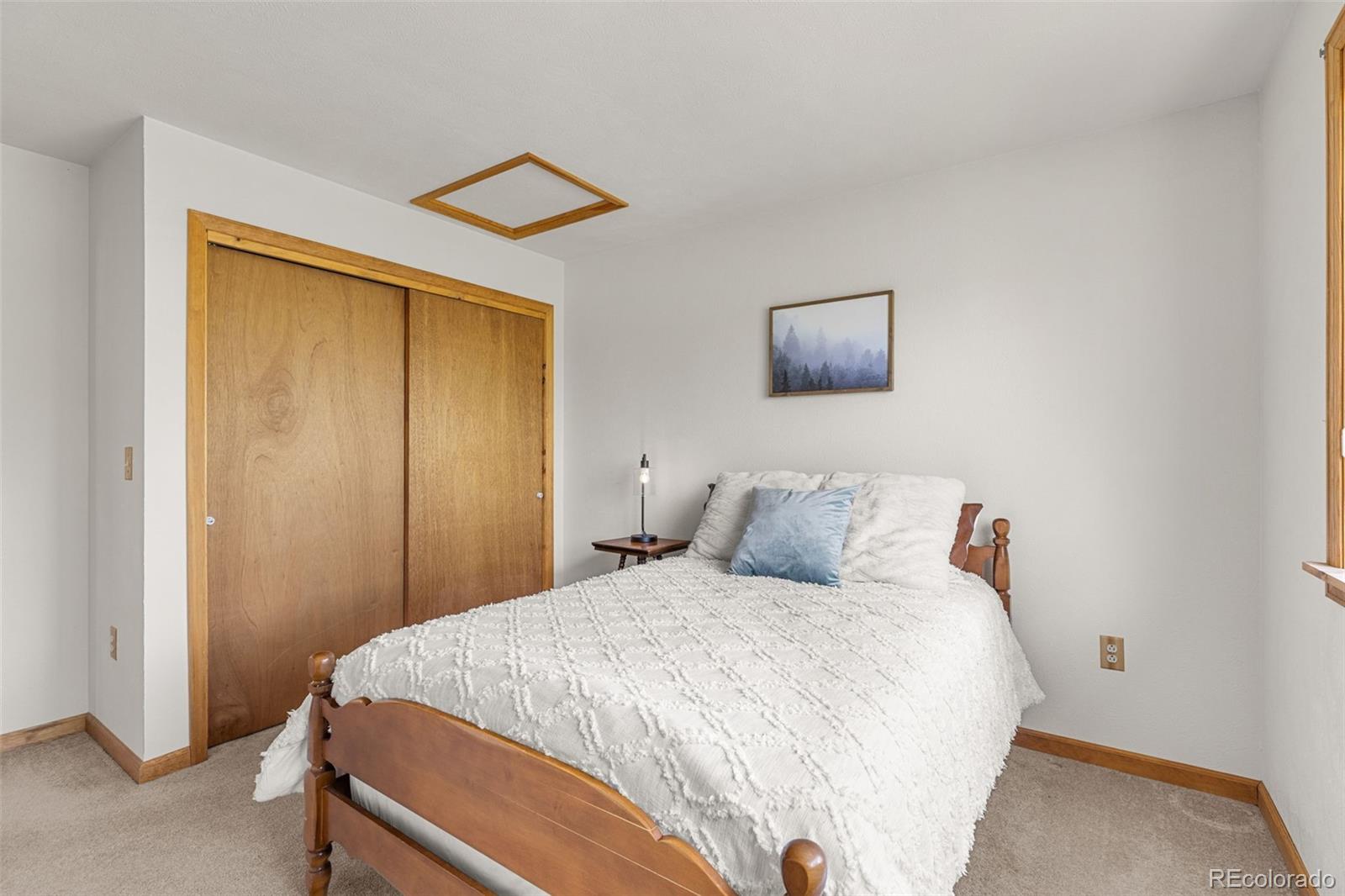 MLS Image #26 for 408  foxtail lane,fairplay, Colorado