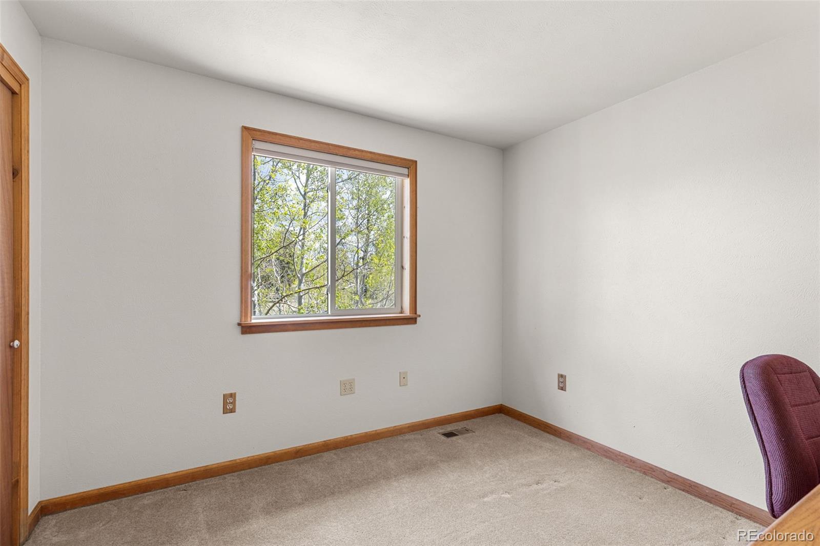 MLS Image #28 for 408  foxtail lane,fairplay, Colorado