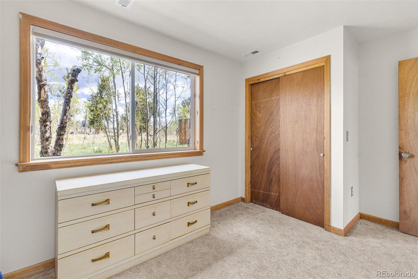 MLS Image #38 for 408  foxtail lane,fairplay, Colorado