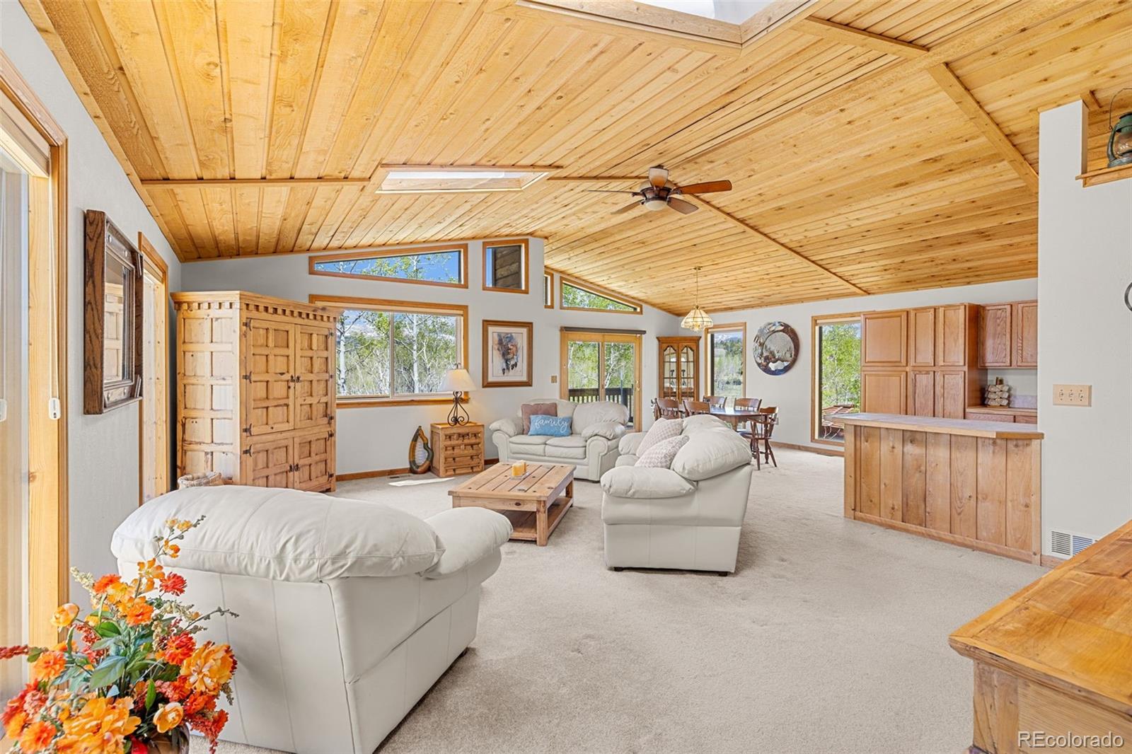 MLS Image #4 for 408  foxtail lane,fairplay, Colorado