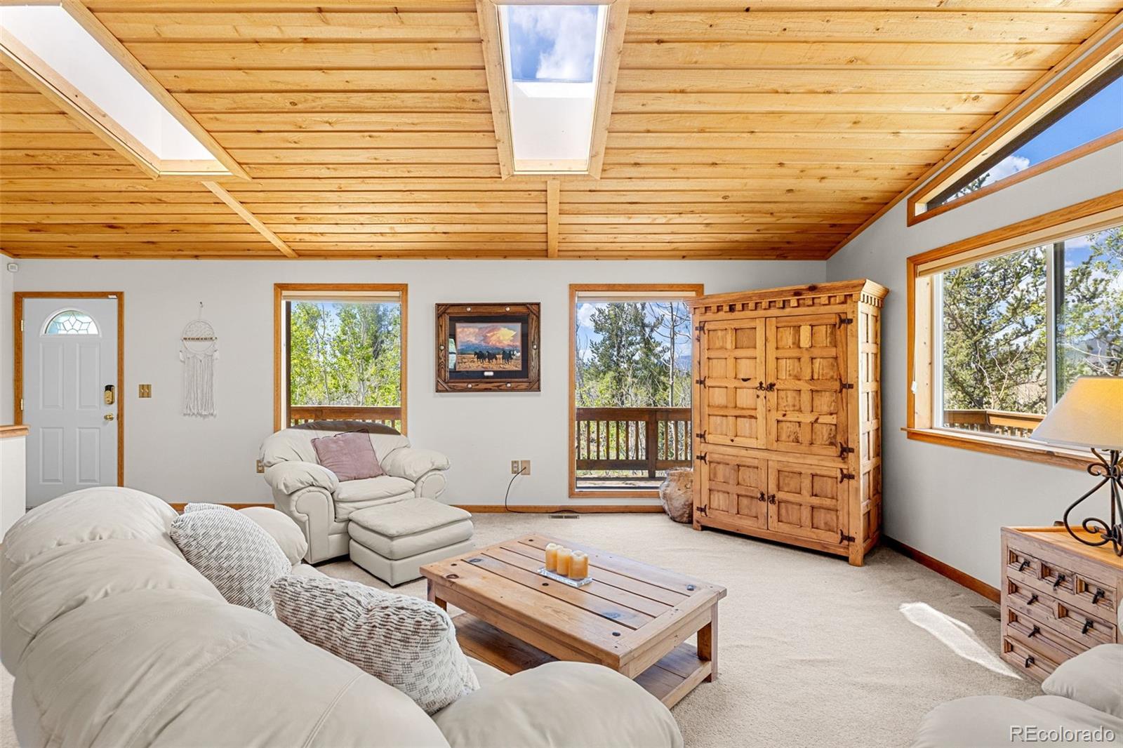 MLS Image #6 for 408  foxtail lane,fairplay, Colorado