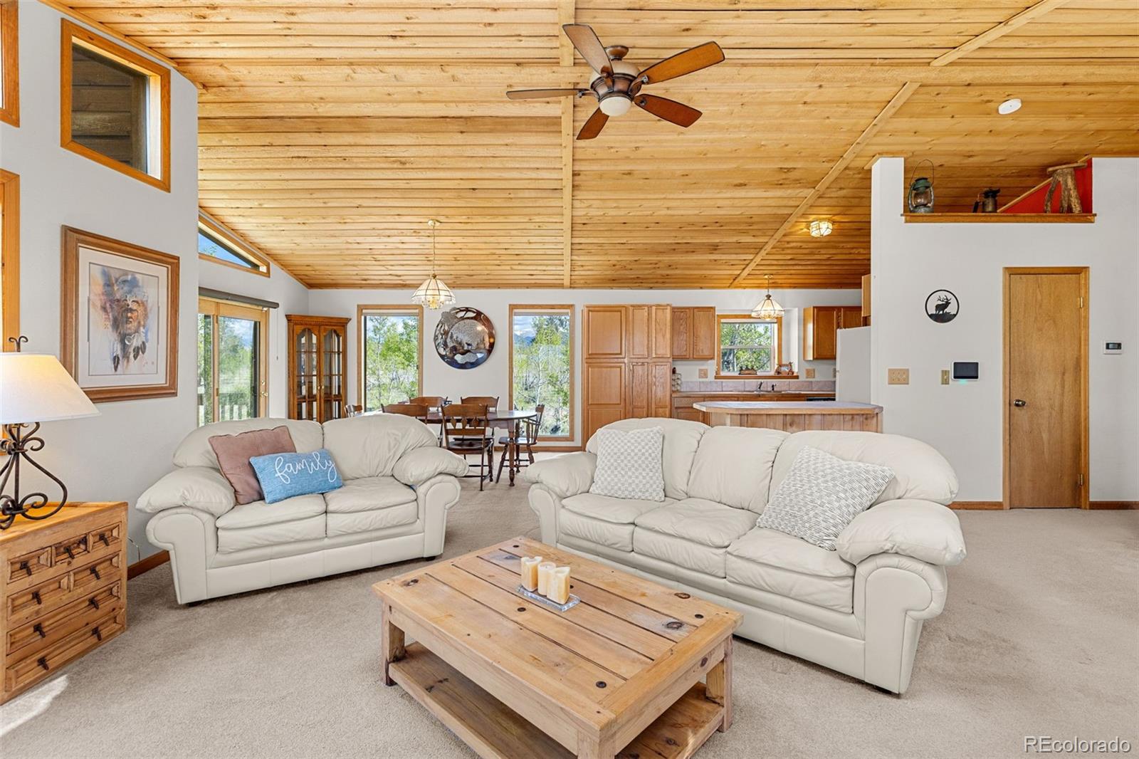 MLS Image #9 for 408  foxtail lane,fairplay, Colorado
