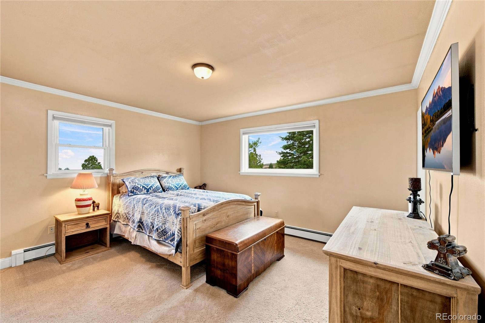 MLS Image #11 for 8087  oak drive,rye, Colorado
