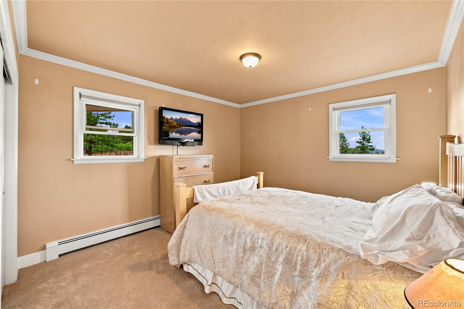 MLS Image #13 for 8087  oak drive,rye, Colorado