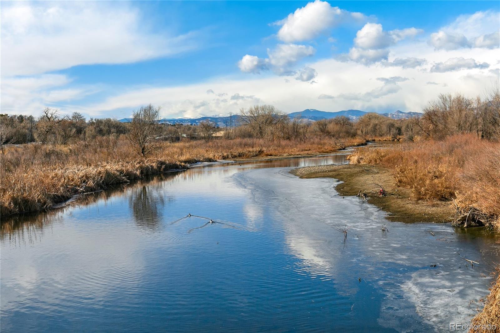 MLS Image #46 for 6275  king court,denver, Colorado