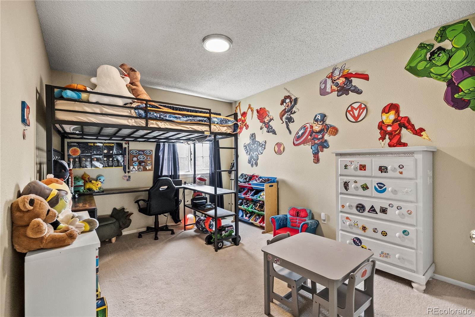 MLS Image #12 for 317  wessex circle,highlands ranch, Colorado