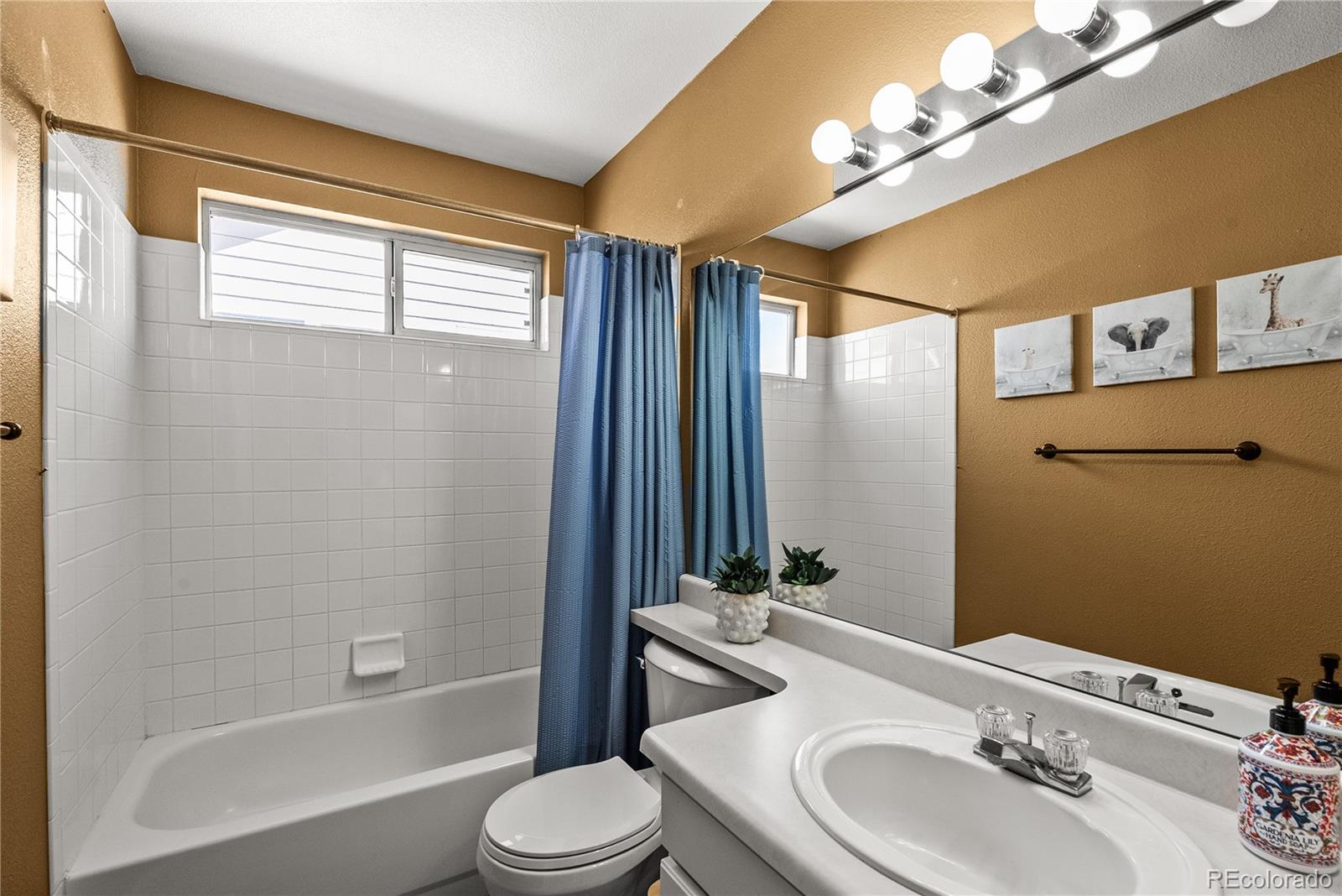 MLS Image #14 for 317  wessex circle,highlands ranch, Colorado