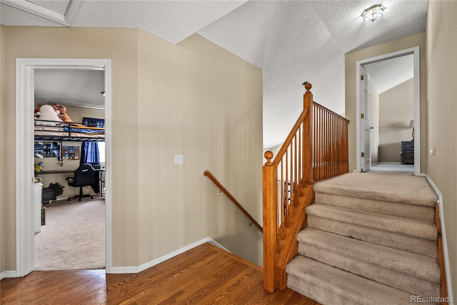 MLS Image #15 for 317  wessex circle,highlands ranch, Colorado