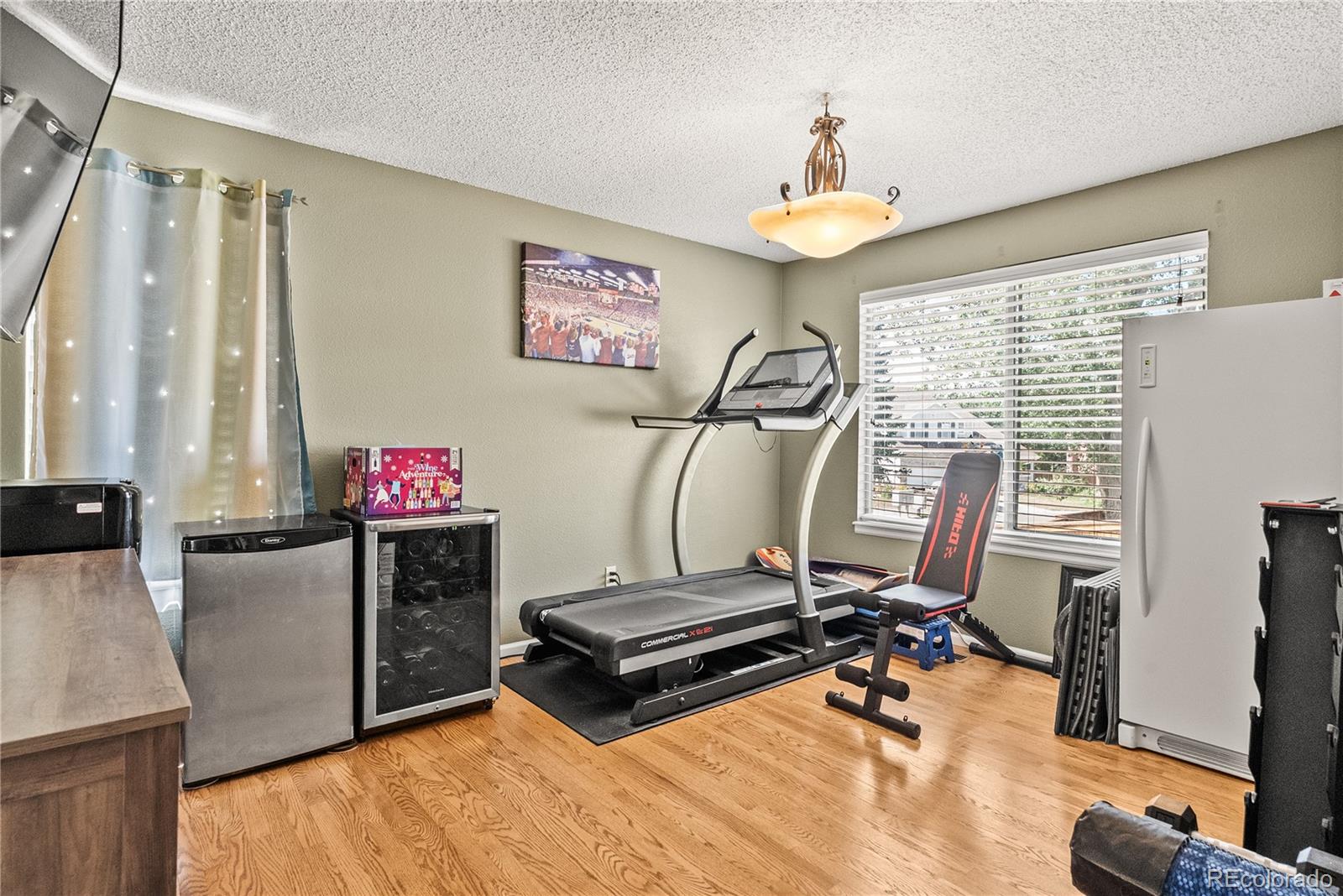 MLS Image #4 for 317  wessex circle,highlands ranch, Colorado