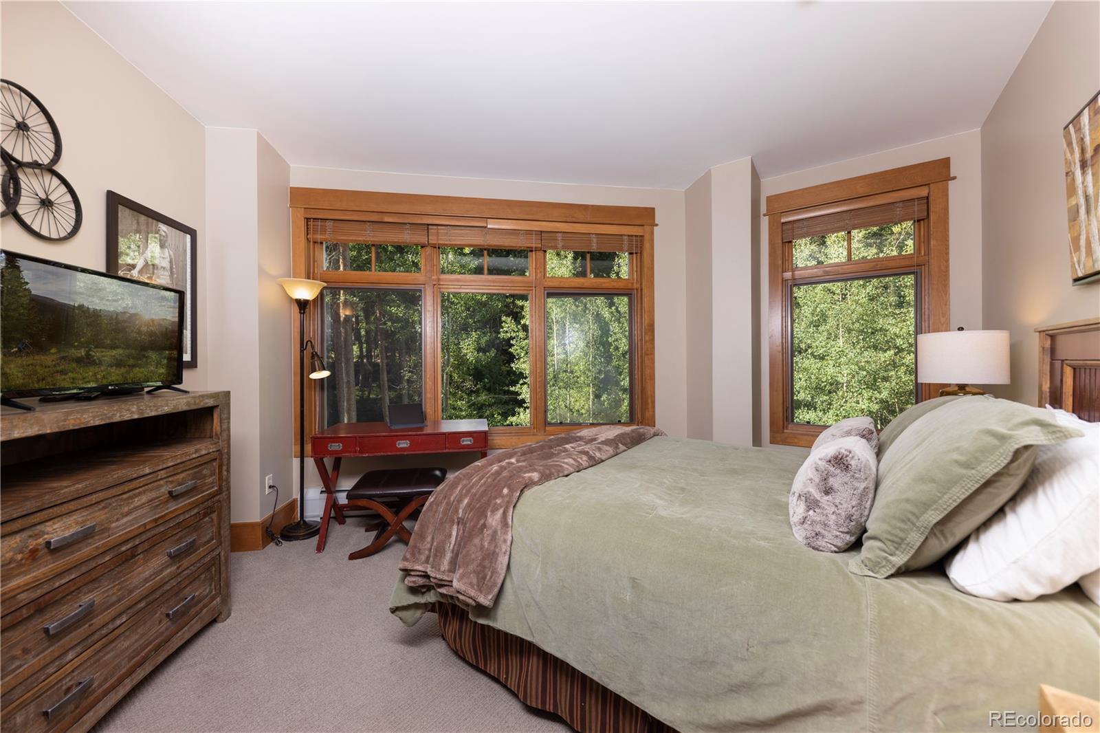 MLS Image #15 for 280  trailhead drive,keystone, Colorado