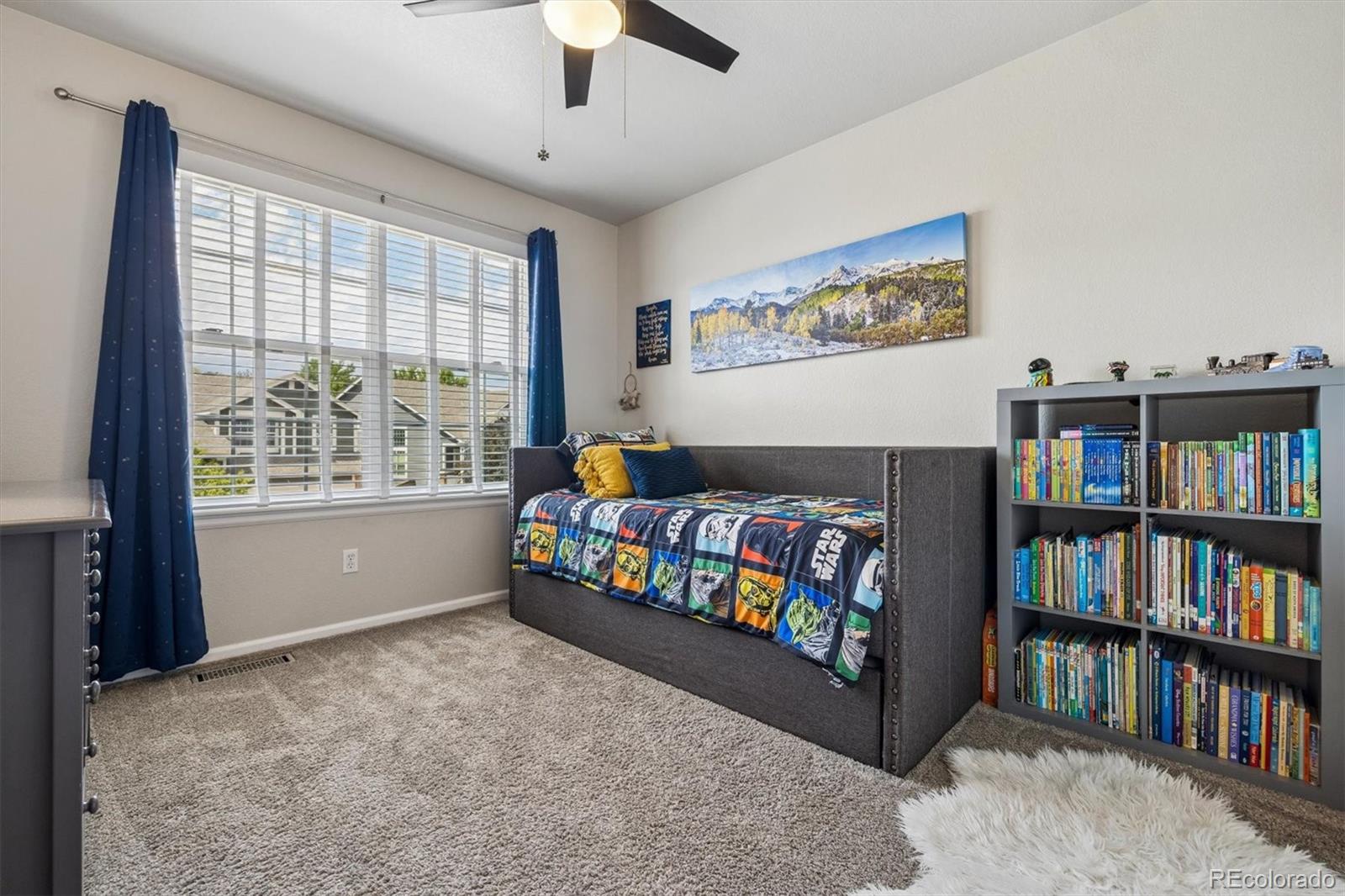 MLS Image #19 for 10240  willowbridge way,littleton, Colorado
