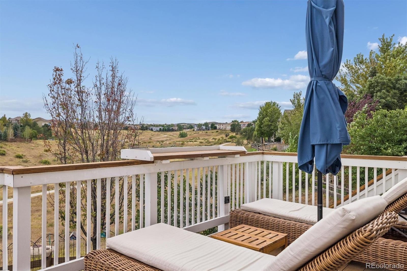 MLS Image #28 for 10240  willowbridge way,littleton, Colorado