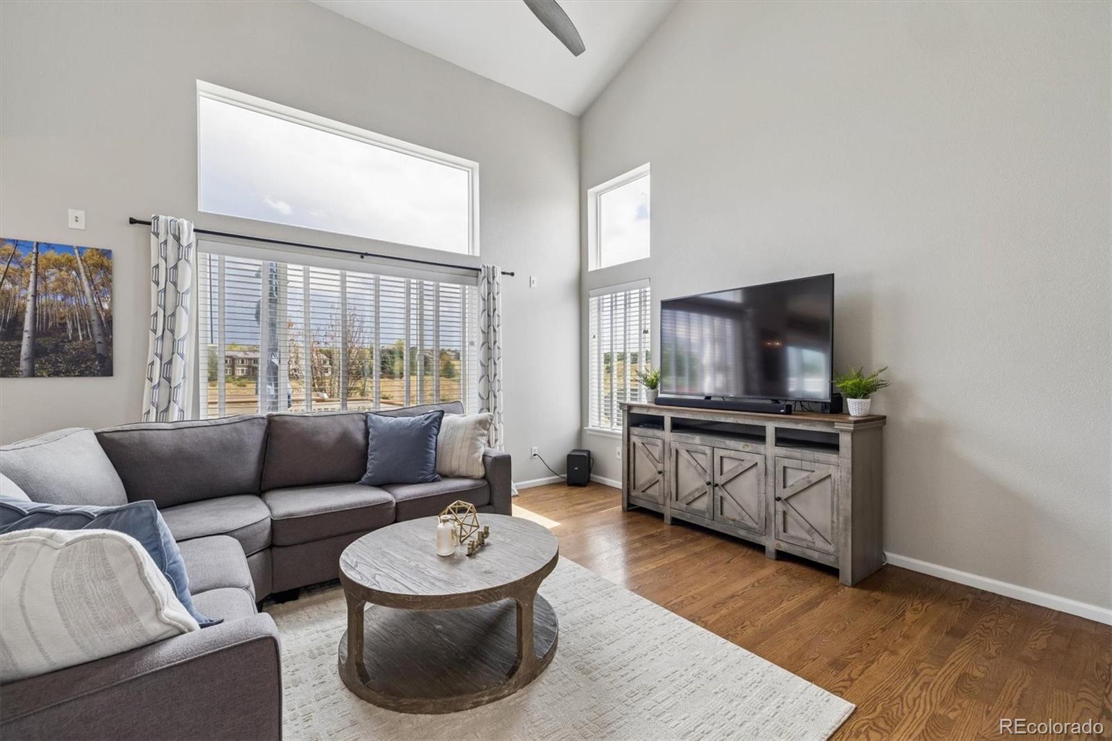 MLS Image #4 for 10240  willowbridge way,littleton, Colorado